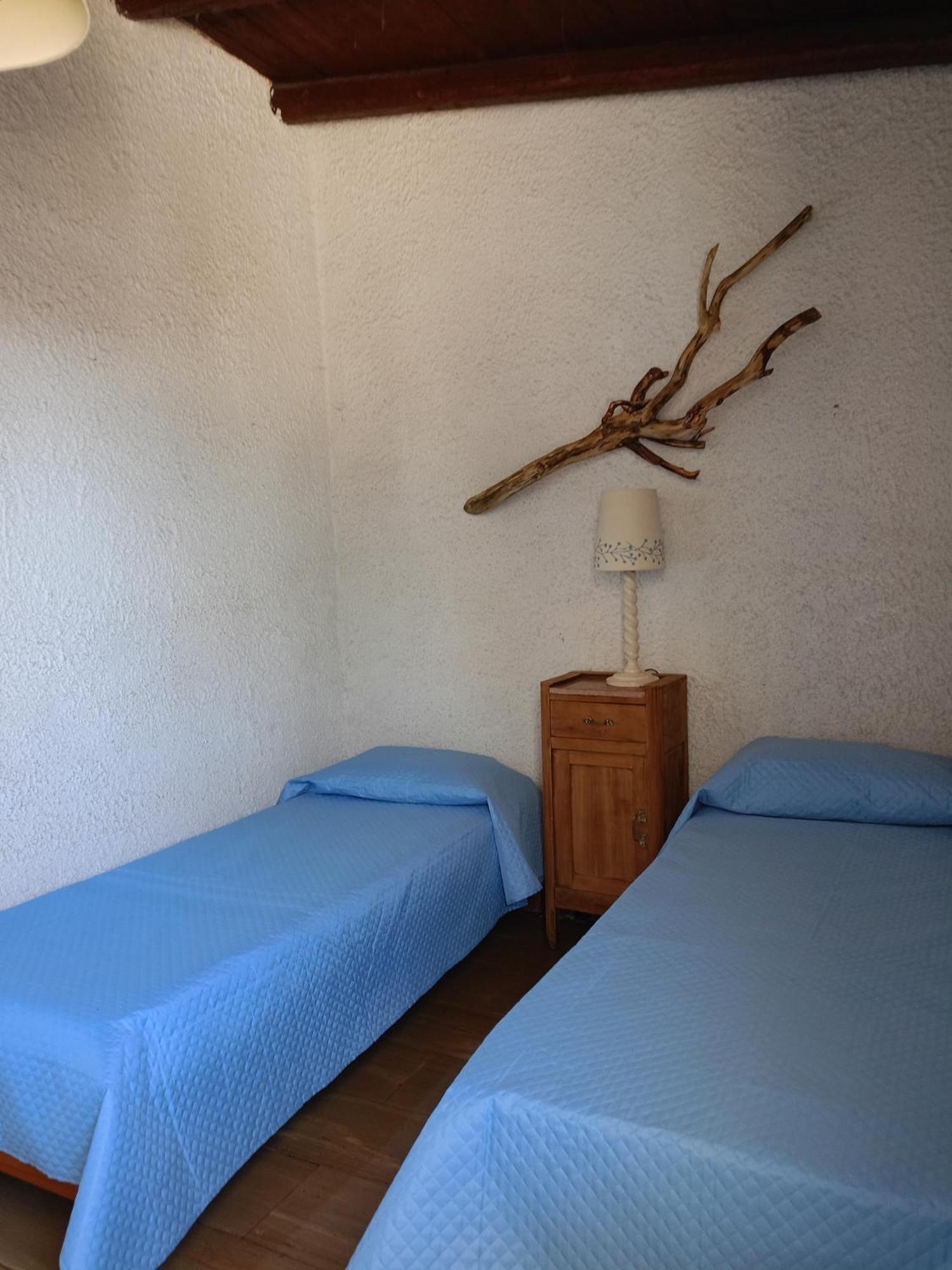 Appartement Blu Angel à Lido dei Pini Extérieur photo